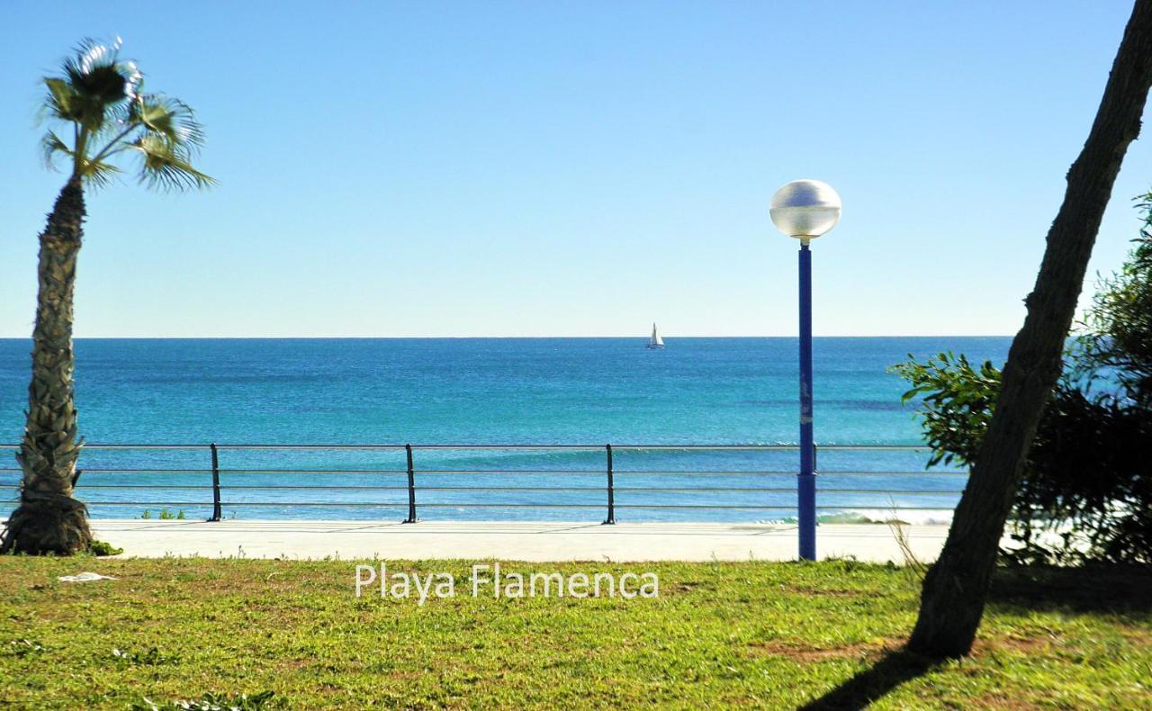 Apartment With Large Roof Solarium Dehesa de Campoamor  Luaran gambar